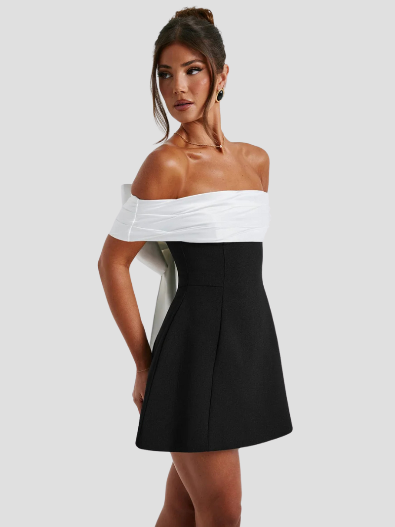 Cariva Mini Dress | Off-Shoulder Black and White A-Line Cocktail Dress