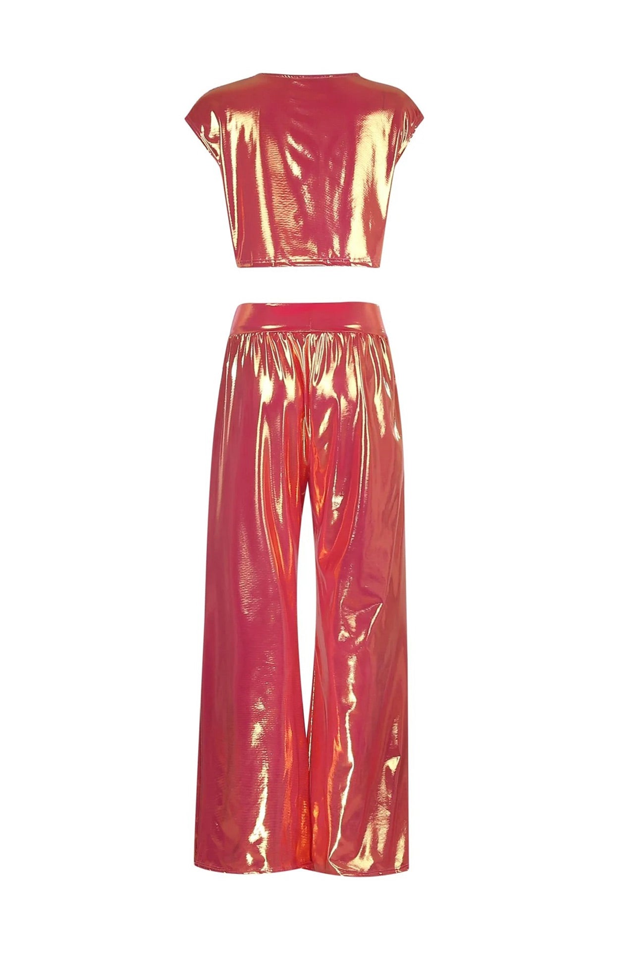 Danirae Two-Piece Set | Metallic Crop Top and Wide-Leg Pants Co-ord