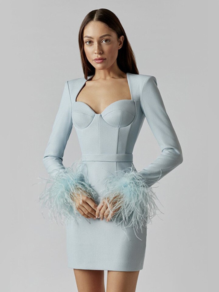 Blair Feather Dress | Women’s Long Sleeve Fitted Dress with Statement Feather Details