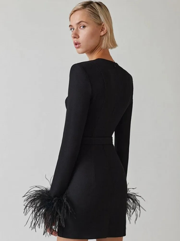 Blair Feather Dress | Women’s Long Sleeve Fitted Dress with Statement Feather Details