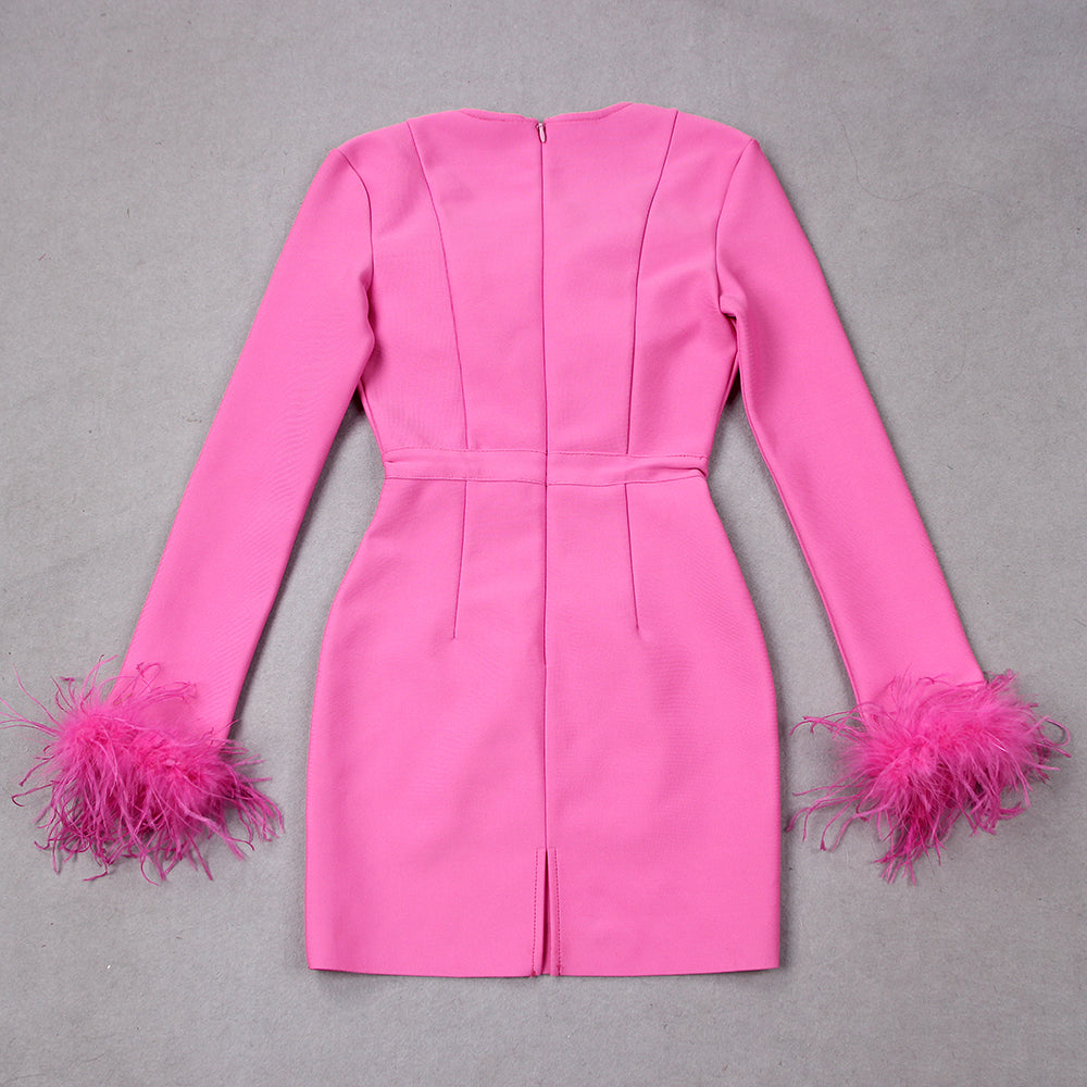 Blair Feather Dress | Women’s Long Sleeve Fitted Dress with Statement Feather Details